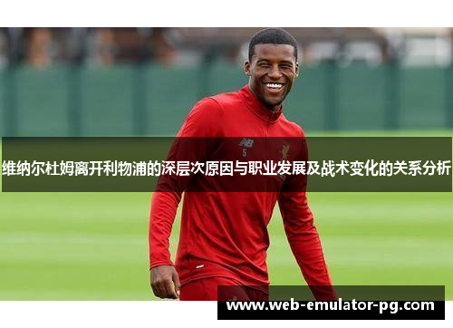 维纳尔杜姆离开利物浦的深层次原因与职业发展及战术变化的关系分析 维纳尔杜姆离开利物浦的深层次原因与职业发展及战术变化的关系分析