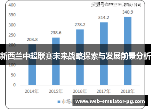 新西兰中超联赛未来战略探索与发展前景分析 新西兰中超联赛未来战略探索与发展前景分析