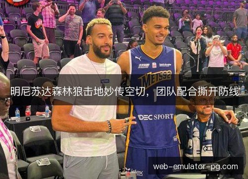 明尼苏达森林狼击地妙传空切，团队配合撕开防线