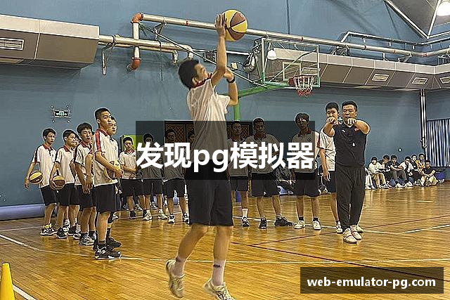 发现pg模拟器